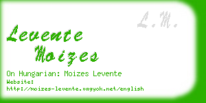 levente moizes business card